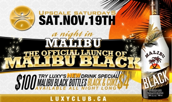 A Night In Malibu